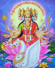 Gayatri Mata