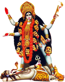 kali_maa