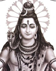 Lord Shiva