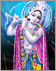 lord krishna