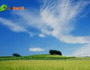 Osho Dhara Sehaj Yog Epi-1549 Part-2