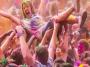 Holi Celebration Around the World