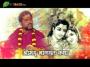 Pujya Nandkishor Pandy Ji Shrimad Bhagwat Katha Day 1 Part 1