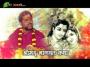 Pujya Nandkishor Pandy Ji Shrimad Bhagwat Katha Day 2 Part 1