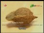 Constipation And Piles Part-6