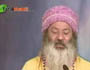 Sehaja Yoga Ep-1661 Part-2.by Osho Siddharthaji