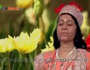Sahaja Yoga Epi-1993 Part-1 by Osho Shailendraji