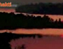 Yog camp houston (usa) part-g